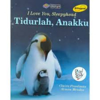 I Love You, Sleepyhead Tidurlah, Anakku!