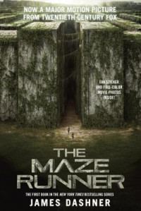 Image of The Maze Runner