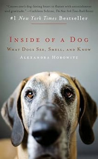 Image of Inside of a Dog