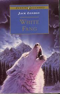 Image of Softcover
